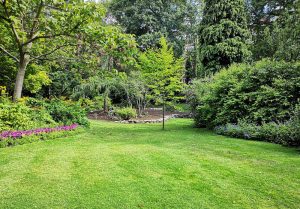 Optimiser l'expérience du jardin à Combrimont